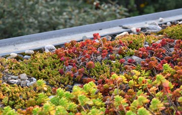 the cost of Caldbergh green roof installation