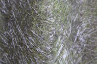 Caldbergh fibreglass roof work